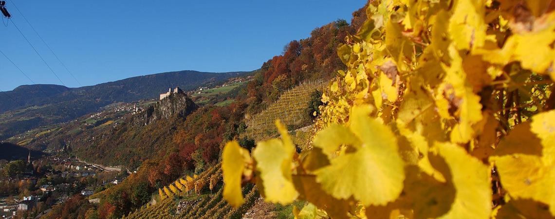 Autumn in the Eisacktal Valley