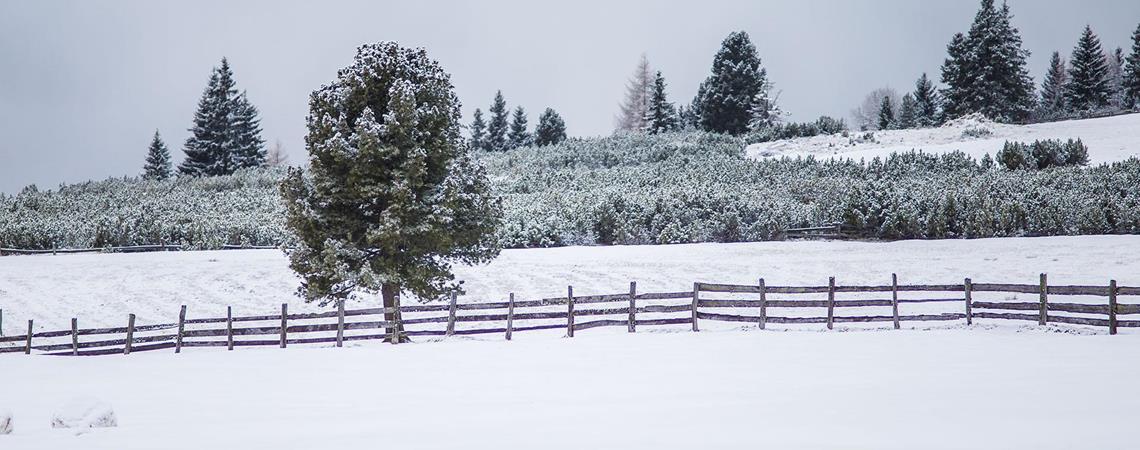 img-0601