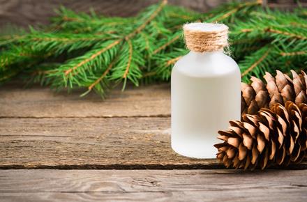 Pine branches, cones and bottle with essential oil