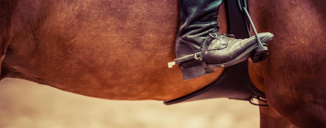 boot-horse-horseback-riding-93489