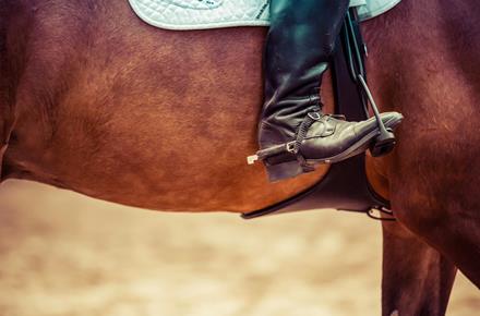 boot-horse-horseback-riding-93489