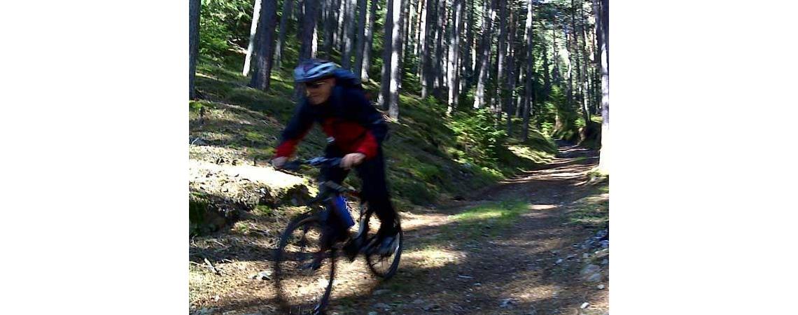 A mountain biker in a forest