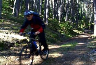 Ein Mountainbiker im Wald