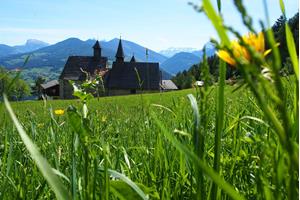 dreikirchen-web