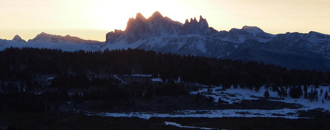 Alba dietro cime montuose innevate con bosco scuro e paesaggio invernale in primo piano.