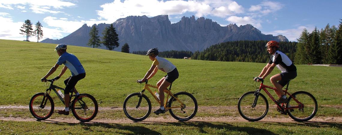 Bike tour on the mountain pasture