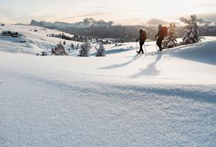 villanderer-alm-c-tobias-kaser-photography-43