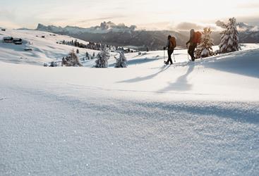 villanderer-alm-c-tobias-kaser-photography-43