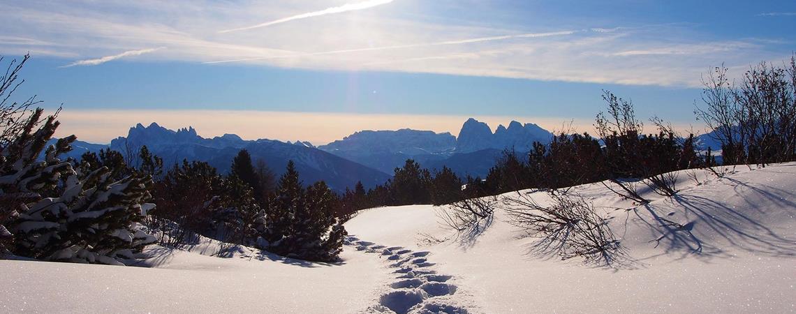 spuren-schneeschuhwandern