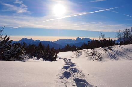 spuren-schneeschuhwandern