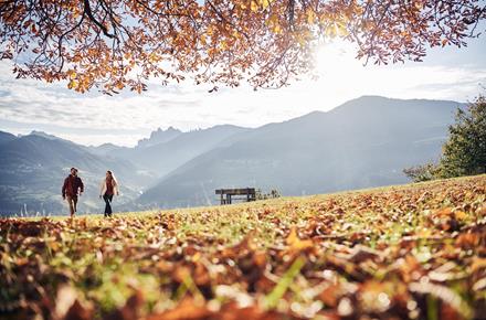 Zwei Personen beim Wandern im Herbst