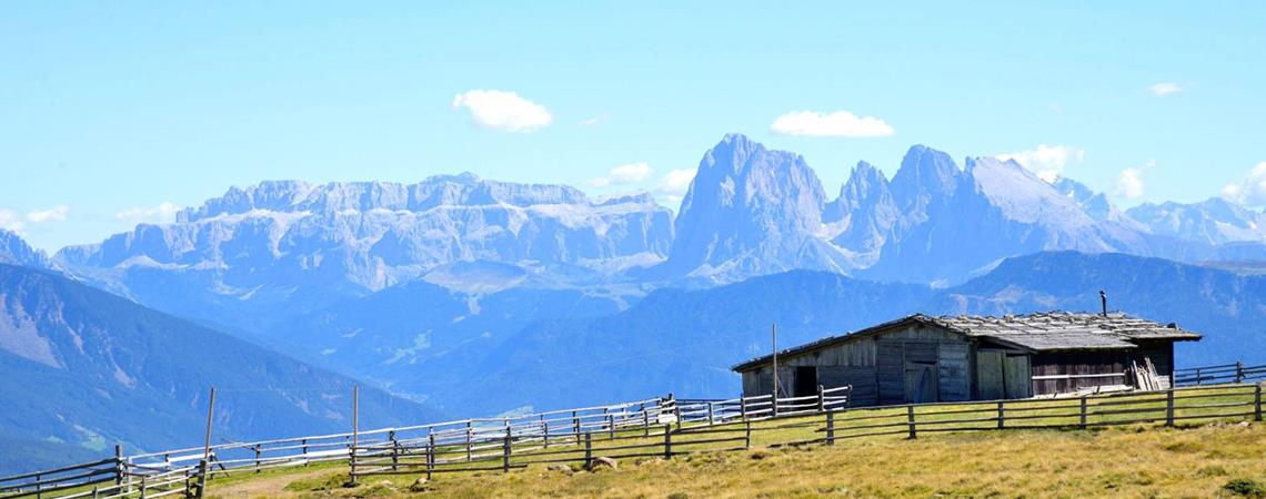 The Alpe di Villandro in summer