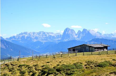 The Alpe di Villandro in summer