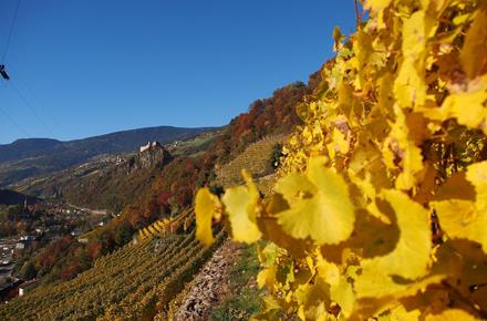 Autumn in the Eisacktal Valley