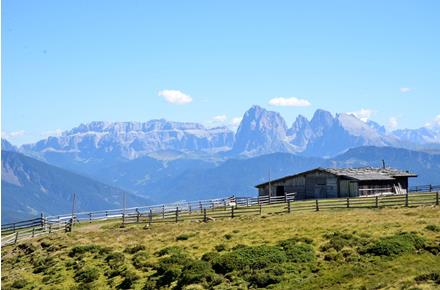 The Alpe di Villandro in summer