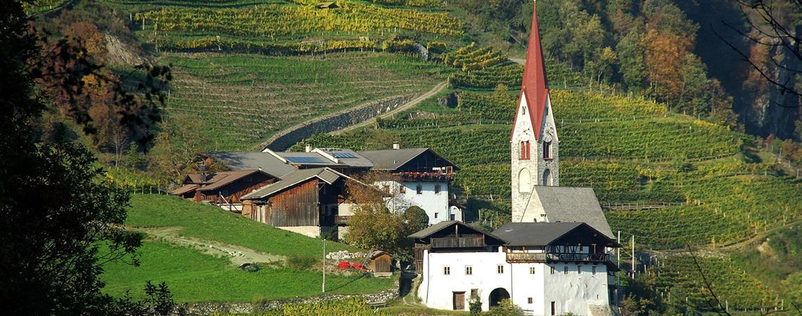 wei-wein-eisacktal-05-nur-fu-r-granpanorama-hotel-stephanshof-verwenden