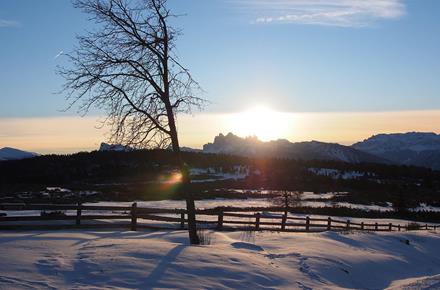 Snowy winter landscape with fence, bare tree, and sunrise over the mountains in the background.