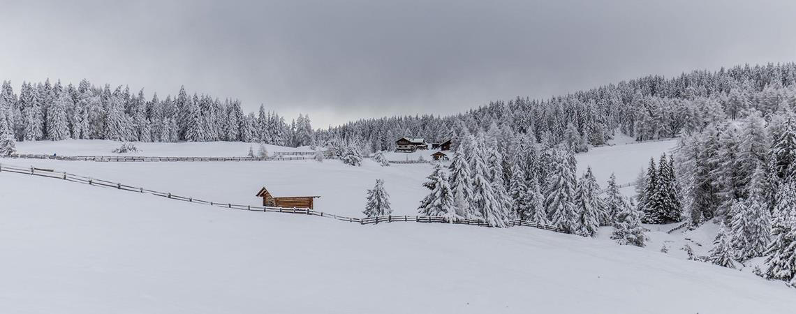 img-0765