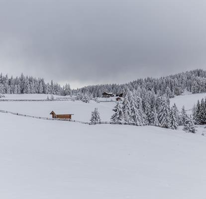 img-0765
