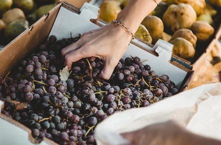 Al mercato della frutta