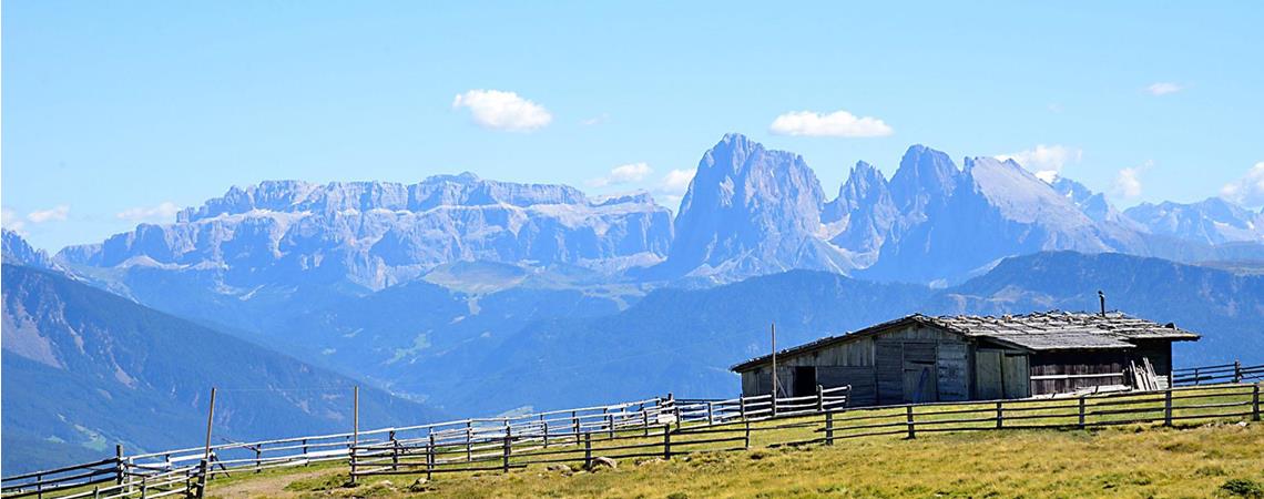 Die Villanderer Alm im Sommer