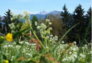 Panorama im Sommer